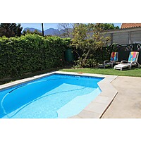 Petal's Place image